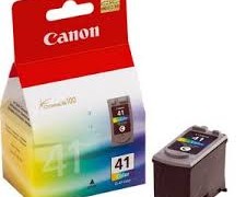 CANCL41