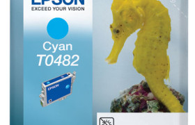 EPST0482