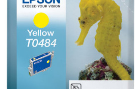 EPST0484