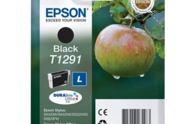 EPST1291