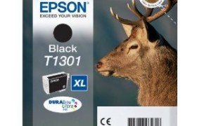 EPST1301